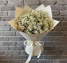 Букет цветов из:  Ромашки #REPLACE_PRED# Воротынец